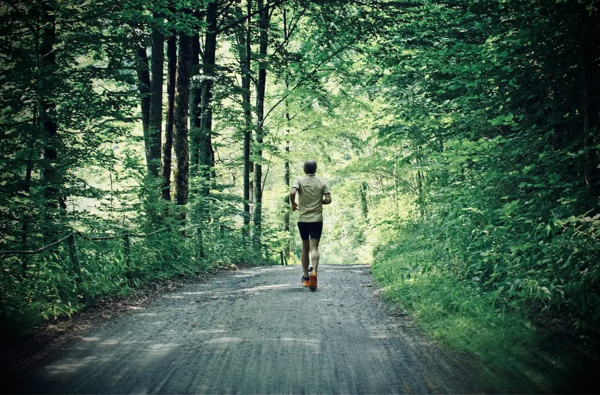 Lauf-Impression