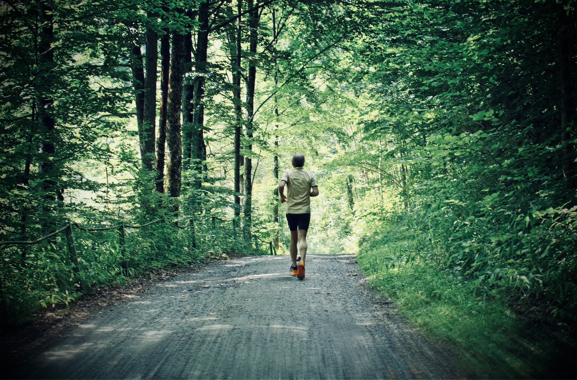 Liebe Lauffreunde aus nah und fern! Burgstalllauf 2024